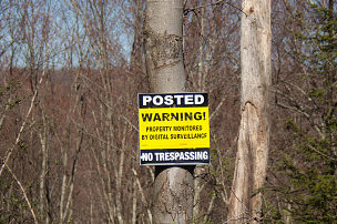 Gross, Minsky & Mogul, P.A. | Bangor, Maine Lawyers Timber Trespass Law